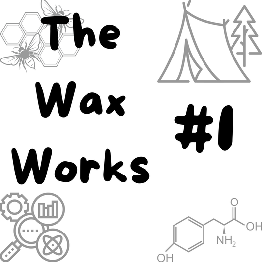 #1 Introduction to Beeswax: Nature's Versatile Gift