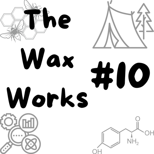 #10 Conclusion: The Future of Beeswax in Textiles