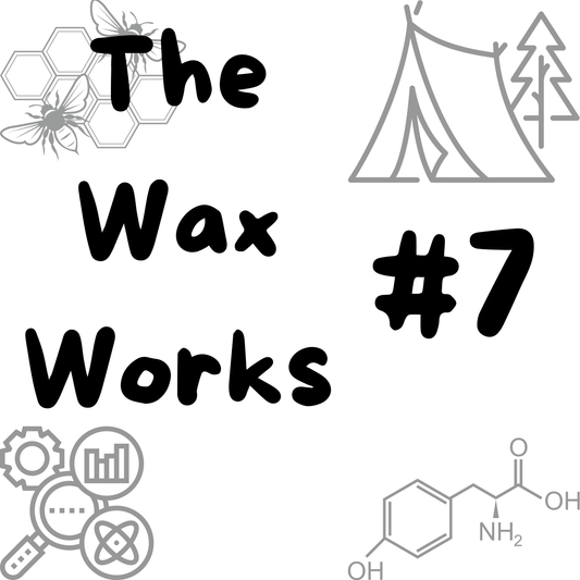 #7 Applying Beeswax Mixtures to Fabrics: A Step-by-Step Guide